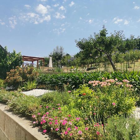 Quinta Do Retiro Guest House Felgar Екстериор снимка