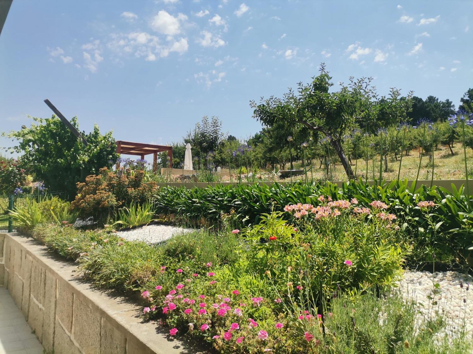 Quinta Do Retiro Guest House Felgar Екстериор снимка