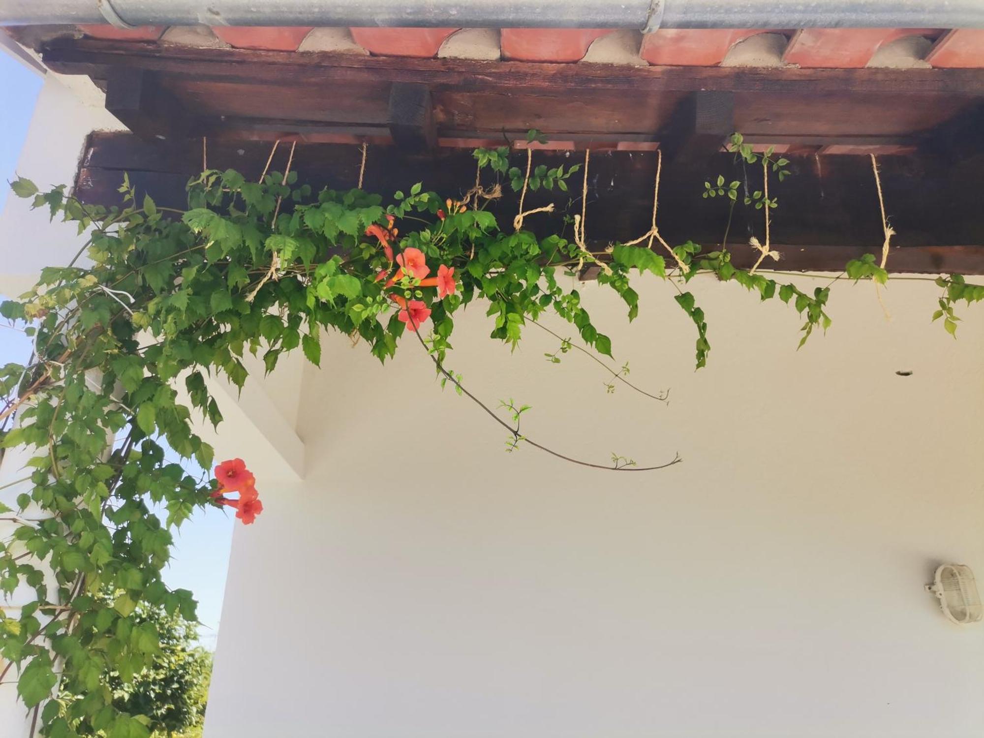 Quinta Do Retiro Guest House Felgar Екстериор снимка