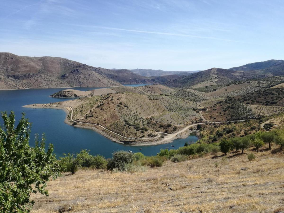 Quinta Do Retiro Guest House Felgar Екстериор снимка
